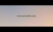 有览的成语有哪些成语