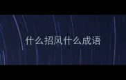 什么招风什么成语