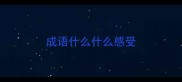 成语什么什么感受