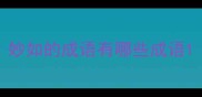 妙如的成语有哪些成语