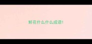 鲜花什么什么成语