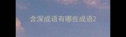 含深成语有哪些成语
