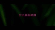 什么实实成语