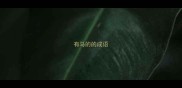 有马的的成语