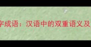 双又字成语汉语中的双重语义及文化
