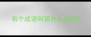 有个成语叫狐什么成语