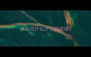 什么尺什么什么的成语