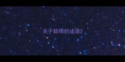 关于聪明的成语