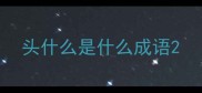 头什么是什么成语