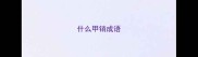 什么甲销成语