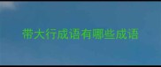 带大行成语有哪些成语