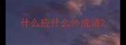 什么应什么外成语