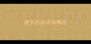 唐字的成语有哪些