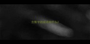 含数字的成语有什么