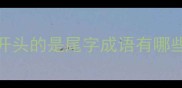 开头的是尾字成语有哪些