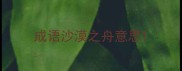 成语沙漠之舟意思