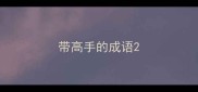 带高手的成语