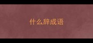什么辞成语