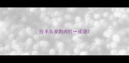 挂羊头卖狗肉打一成语