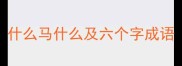 什么马什么及六个字成语