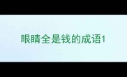眼睛全是钱的成语