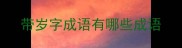 带岁字成语有哪些成语