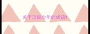 关于顶碗少年的成语