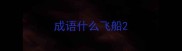 成语什么飞船