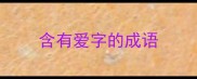含有爱字的成语