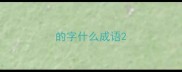 的字什么成语