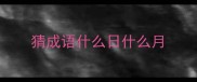 猜成语什么日什么月