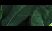 华字开头成语大全