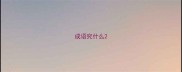 成语究什么