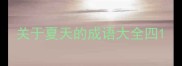 关于夏天的成语大全四