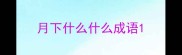 月下什么什么成语