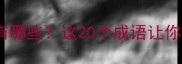带翅字的成语有哪些这20个成语让你秒变语文高手