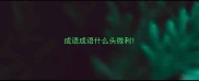 成语成语什么头微利