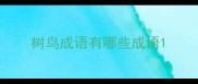 树鸟成语有哪些成语