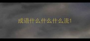成语什么什么什么流