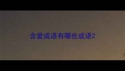 含爱成语有哪些成语