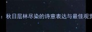 丹枫迎秋秋日层林尽染的诗意表达与最佳观赏期指南