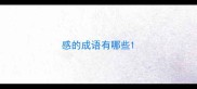 感的成语有哪些