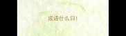 成语什么日