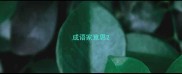 成语家意思