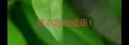 成衣匠的成语