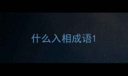 什么入相成语