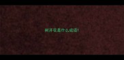 树开花是什么成语