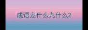 成语龙什么九什么