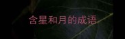 含星和月的成语