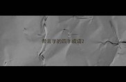 带言字的四字成语